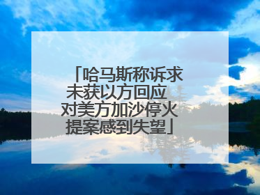 哈马斯称诉求未获以方回应 对美方加沙停火提案感到失望