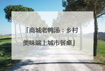 商城老鸭汤：乡村美味端上城市餐桌