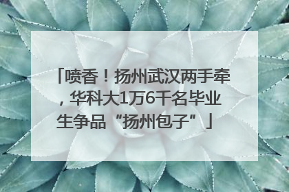 喷香！扬州武汉两手牵，华科大1万6千名毕业生争品“扬州包子”