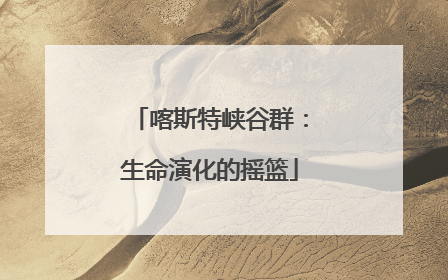 喀斯特峡谷群：生命演化的摇篮