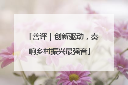善评｜创新驱动，奏响乡村振兴最强音