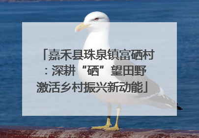 嘉禾县珠泉镇富硒村：深耕“硒”望田野 激活乡村振兴新动能