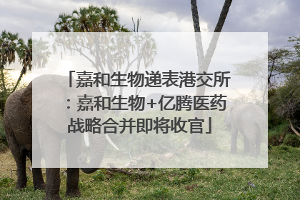 嘉和生物递表港交所：嘉和生物+亿腾医药战略合并即将收官