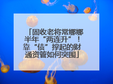固收老将常娜娜半年“两连升”！靠“债”撑起的财通资管如何突围