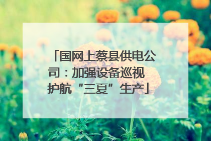 国网上蔡县供电公司：加强设备巡视 护航“三夏”生产