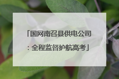 国网南召县供电公司：全程监督护航高考