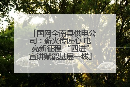 国网全南县供电公司：薪火传匠心 电亮新征程 “四进”宣讲赋能基层一线