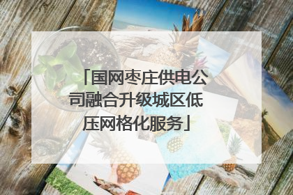 国网枣庄供电公司融合升级城区低压网格化服务