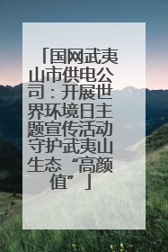 国网武夷山市供电公司：开展世界环境日主题宣传活动守护武夷山生态“高颜值”