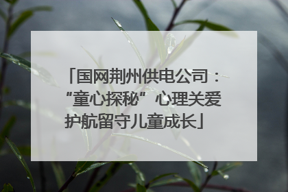 国网荆州供电公司：“童心探秘”心理关爱护航留守儿童成长