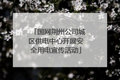 国网荆州公司城区供电中心开展安全用电宣传活动