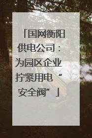 国网衡阳供电公司：为园区企业拧紧用电“安全阀”