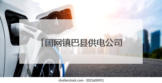 国网镇巴县供电公司 电力“护考天团”上线 温情助力中考