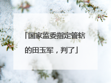 国家监委指定管辖的田玉军，判了