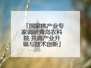 国家桃产业专家调研青岛农科院 共商产业升级与技术创新
