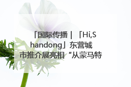 国际传播｜「Hi,Shandong」东营城市推介展亮相“从蒙马特到加里波第”文化节