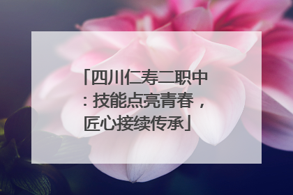 四川仁寿二职中：技能点亮青春，匠心接续传承
