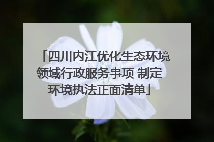 四川内江优化生态环境领域行政服务事项 制定环境执法正面清单