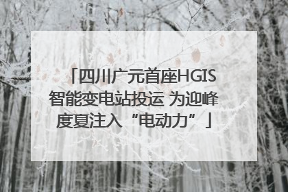 四川广元首座HGIS智能变电站投运 为迎峰度夏注入“电动力”