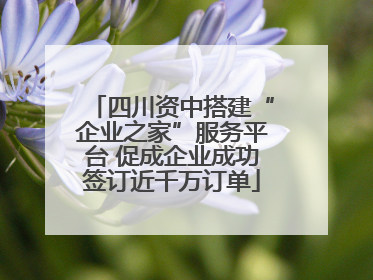 四川资中搭建“企业之家”服务平台 促成企业成功签订近千万订单