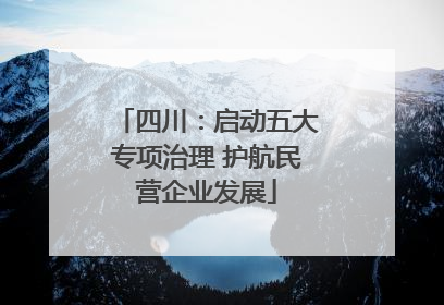 四川：启动五大专项治理 护航民营企业发展