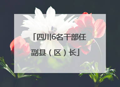 四川6名干部任副县（区）长