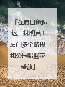 在夏日邂逅这一抹明黄！厦门多个路段和公园腊肠花盛放