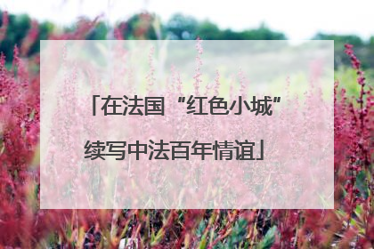 在法国“红色小城”续写中法百年情谊