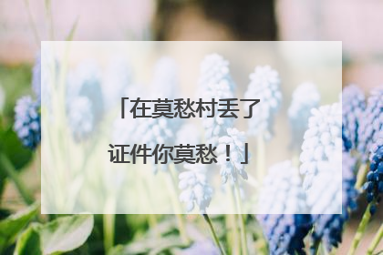 在莫愁村丢了证件你莫愁！