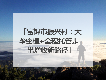 富锦市振兴村：大垄密植+全程托管走出增收新路径