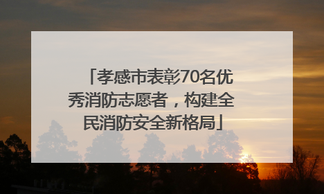 孝感市表彰70名优秀消防志愿者，构建全民消防安全新格局