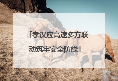 孝汉应高速多方联动筑牢安全防线
