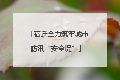 宿迁全力筑牢城市防汛“安全堤”