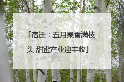 宿迁：五月果香满枝头 甜蜜产业迎丰收
