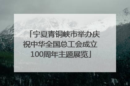 宁夏青铜峡市举办庆祝中华全国总工会成立100周年主题展览