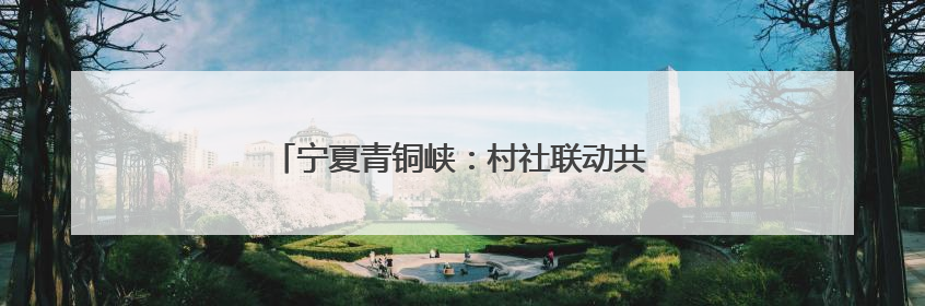宁夏青铜峡：村社联动共绘“家门口”的文明图景