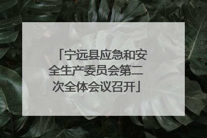 宁远县应急和安全生产委员会第二次全体会议召开