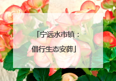 宁远水市镇：倡行生态安葬