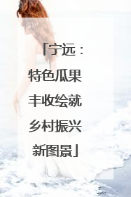宁远：特色瓜果丰收绘就乡村振兴新图景