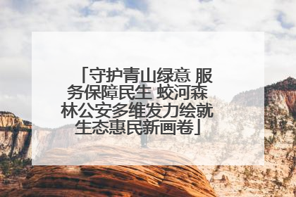 守护青山绿意 服务保障民生 蛟河森林公安多维发力绘就生态惠民新画卷