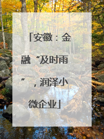 安徽：金融“及时雨”，润泽小微企业