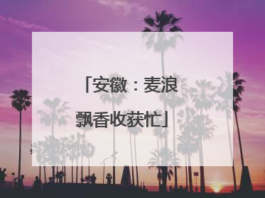 安徽：麦浪飘香收获忙