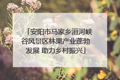 安阳市马家乡洹河峡谷风景区林果产业蓬勃发展 助力乡村振兴