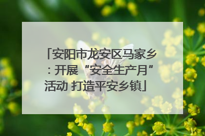 安阳市龙安区马家乡：开展“安全生产月”活动 打造平安乡镇