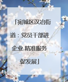 宛城区汉冶街道：党员干部进企业 精准服务促发展