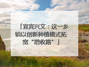 宜宾兴文：这一乡镇以创新种植模式拓宽“增收路”