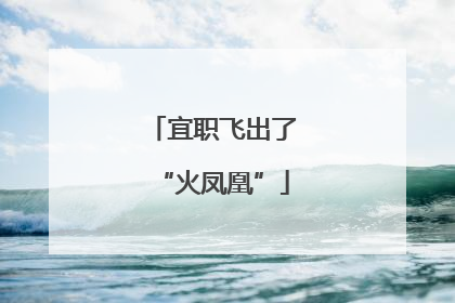 宜职飞出了“火凤凰”