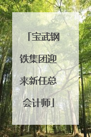 宝武钢铁集团迎来新任总会计师
