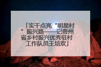 实干点亮“明星村”振兴路——记贵州省乡村振兴优秀驻村工作队员王培欢
