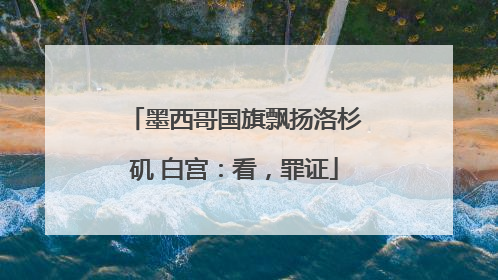 墨西哥国旗飘扬洛杉矶 白宫：看，罪证